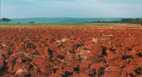 Landwirtschaftliche Fläche | ©: ÖBG Landwirtschaftliche Fläche